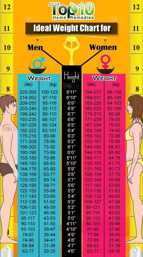 Weight Chart For Men, Ideal Weight Chart, Weight Charts For Women, Perut Six Pack, Resep Diet Sehat, Kad Nama, Weight Chart, House Makeovers, Weight Charts