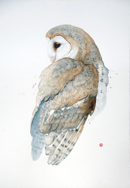 Karl Martens, Barn Owl (Unframed) Karl Martens, Akvarel Illustration, Illustration Kunst, Owl Watercolor, Owl Artwork, Watercolor Birds, Owls Drawing, Bird Artwork, Watercolor Paints