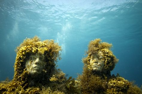 Jason DeCaires Taylor and the Sublime Cancun | Elena Cué Jason Decaires Taylor, Underwater Sculpture, Artificial Reef, Concrete Statues, Under The Water, Underwater Art, Water Art, Sculpture Park, Figurative Sculpture