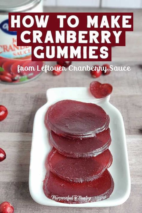 Dehydrated Cranberry Sauce, Jelly Cranberry Sauce Recipes, Cranberry Sauce Recipe Easy, Cranberry Gummies, Cranberry Jelly, Jellied Cranberry Sauce, Leftover Cranberry Sauce, Cranberry Sauce Recipe, Thanksgiving Leftovers