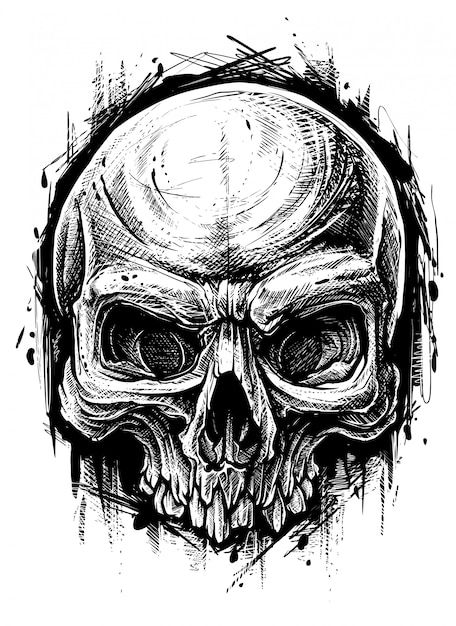 Angry Skull Tattoo, Angry Skull Drawing, Open Mouth Skull Tattoo, Open Jaw Skull, Skull With Open Mouth, Skull Line Art, Skull References, Bones Tattoo, Drawn Skull