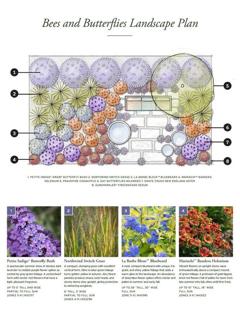 This landscape plan will have the bees buzzing and the butterflies all a-flutter... and you'll love it, too, with the gorgeous contrast of oranges and rich blue-purples. Follow our easy layout, or take our ideas as a starting point for your own space. Find more garden designs for attracting hummingbirds and birds to your backyard habitat in our Habitat Design Guide. Pollinator Yard Design, Rock Garden Layout, Butterfly Garden Plans Layout, Three Season Garden Plans, Outdoor Butterfly Garden, Bee And Butterfly Garden Layout, Butterfly Garden Pictures, Pollinator Garden Design Front Yards, Florida Pollinator Garden