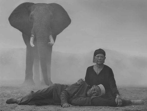 Forced from home: the humans and animals under threat – in pictures | Art and design | The Guardian Nick Brandt, People And Animals, African Giraffe, Habitat Destruction, Animal Sanctuary, Whitney Houston, London Photos, Zimbabwe, Magazine Photography