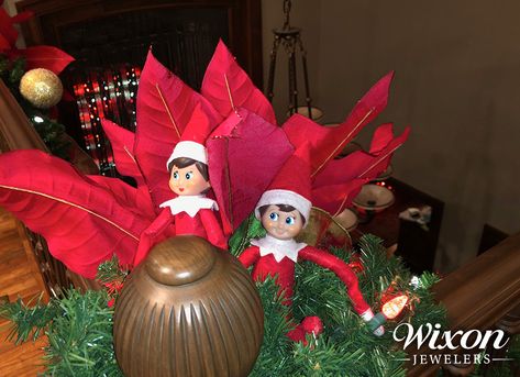 On The Shelf, Poinsettia, Elf On The Shelf, Over The Years, Elf, Bubbles, Shelves, Holiday Decor, Home Decor