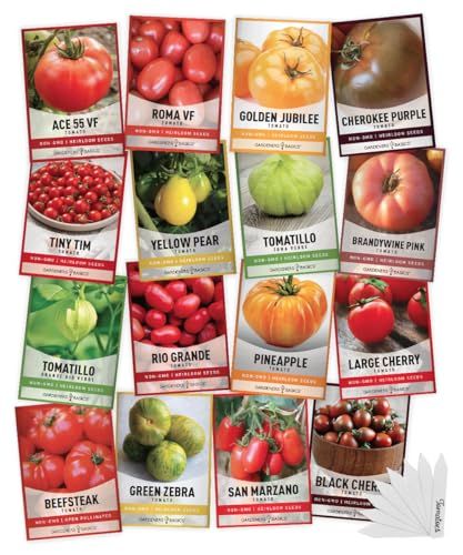 Gardeners Basics, Tomato Seeds for Planting 16 Variety Pack Heirloom Tomato Seeds, Tiny Tim, Cherry Tomato Seeds, Beefsteak Seeds, Roma Tomato Seeds, Determinate and Indeterminate and More, Non GMO Tomatillo Verde, Heirloom Tomatoes Varieties, Black Cherry Tomato, Purple Tomato, Roma Tomato, Heirloom Tomato Seeds, Tiny Tim, Tomato Seedlings, Kale And Spinach