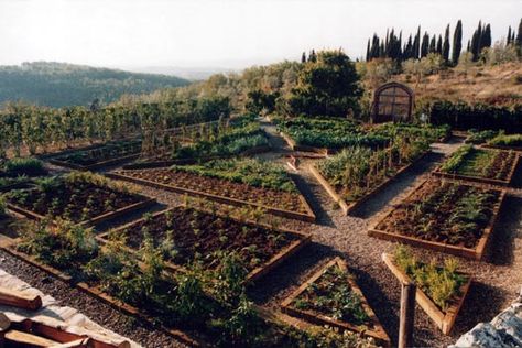 Another beautiful Italian food garden Potager Garden, Organic Vegetable Garden, Square Foot Gardening, Veg Garden, Italian Garden, Family Garden, Organic Gardening Tips, Vegetable Garden Design, Garden Layout