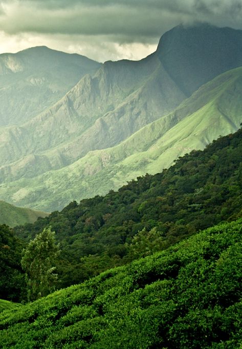 Belle Nature, Green Mountain, Hawaiian Islands, Lush Green, Kauai, Mobile Wallpaper, Nature Beauty, Beautiful World, Beautiful Landscapes