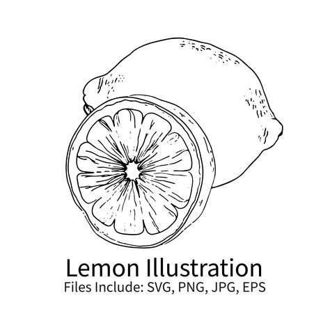 Lemon Line Art, Lemon Vector, Lemon Illustration, Cake Art Print, Lemon Drawing, Design Toolkit, Lemon Art, Projects Design, Still Life Fruit