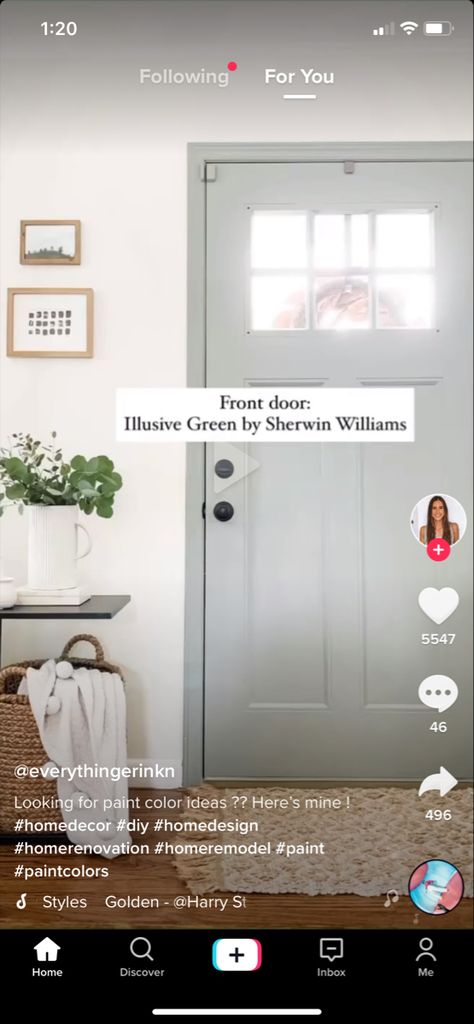 Green Sherwin Williams, Dining Room Spaces, Front Door Design, Dream Apartment, Kitchen Makeover, Barn House, Sherwin Williams, Door Design, Home Renovation