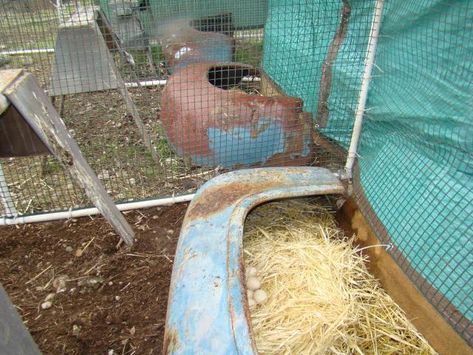 My turkey breeding pens 2011 | BackYard ... Turkey Pen, Turkey Breeds, Pretty Much, Rabbits, Farm Animals, My Daughter, Pen, Building, Animals