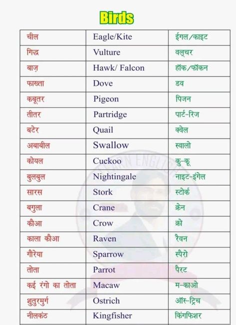 English Phrases Sentences, English Grammar Rules, English Word Book, Hindi Language Learning, English Transition Words, Learn Hindi, New Vocabulary Words, Exam Quotes Funny, English Phonics