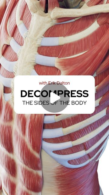 Erik Dalton, PhD on Instagram: "Decompress the Sides of the Body   In my blog post, “Freeing the Ribs,” I talk about treating kinetic chain kinks and share video clips of techniques. Massage therapists and bodyworkers visit blog.erikdalton.com and sign up for my Technique Tuesday newsletter. It’s a free way to have new techniques delivered to your inbox without subscription fees.   #erikdalton #daltonmyoskeletal #massageceu #bodyworktraining" Massage Video Therapist, Share Video, Technique Tuesday, Massage Techniques, Massage Therapist, Video Clips, Video Clip, And Sign, The Body