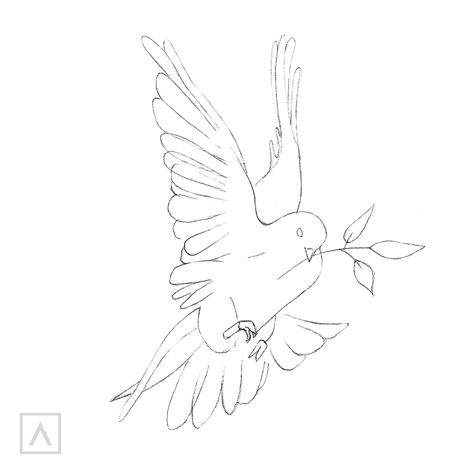 How to Draw a Dove: Simple Bird Drawing | ARTEZA Flying Dove Tattoo Design, Dove Bird Drawings, Drawing Doves Bird, Dove Sketch Simple, Dove Drawing Reference, Morning Dove Drawing, How To Draw Dove, Dove Painting Easy, Dove Outline Drawing