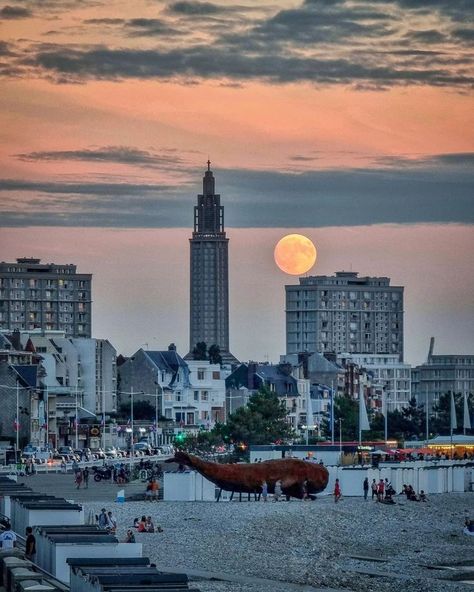 Europe Places, Le Havre France, France Winter, Christmas Cruise, Christmas Cruises, France Aesthetic, Goal Board, Places In Europe, Le Havre