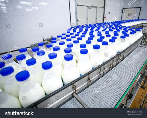 Dairy plant, conveyor with milk  bottles  royalty free images photo Food Background Wallpapers, Milk Factory, Milk Processing, Food Factory, Bottle Images, Milk Bottles, Food Backgrounds, Milk Bottle, Food Industry