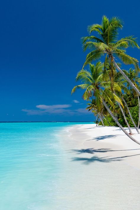 the world's most stunning beaches maldives Aesthetic Maldives, Honeymoon Aesthetic, Maldives Aesthetic, Honeymoon Maldives, Honeymoon Vibes, Maldives Vacation, Maldives Honeymoon, Maldives Beach, Beautiful Beach Pictures