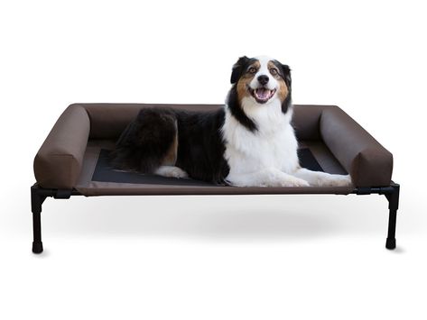 Durable Dog Bed, Raised Dog Beds, Dog Cots, Elevated Bed, Elevated Dog Bed, Outdoor Dog Bed, Crate Bed, Bolster Dog Bed, Cool Dog Beds