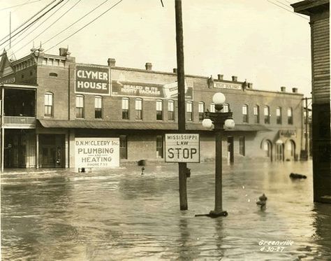 Vintage photo of MIssissippi Delta history (Picture is of downtown Greenville, MS during the actual 1927 Flood) Flood Photos, Greenville Mississippi, River Pictures, Mississippi Delta, Deep South, Mississippi River, Vintage Photo, Genealogy, Mississippi