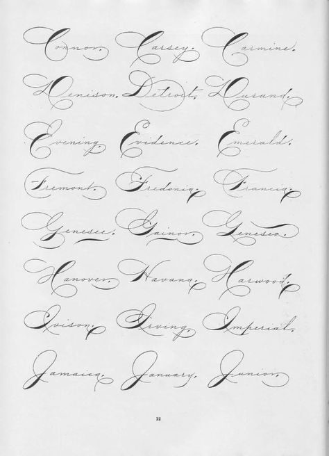 Collection Of Penmanship - Canan, CC Spencerian Capitals, Spencerian Handwriting, Ornamental Calligraphy, Business Cursive, Ornamental Penmanship, Spencerian Calligraphy, Palmer Method, Rajendra Kumar, Spencerian Script