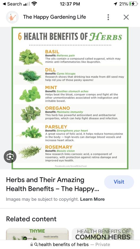 Health Benefits Of Parsley, Benefits Of Parsley Tea, Parsley Tea Recipe, Parsley Benefits Health, Natural Ibuprofen, Parsley Tea Benefits, Benefits Of Parsley, Mint Benefits, Parsley Benefits