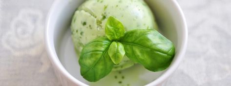 GORDON RAMSAY RECIPES | Basil sorbet: how to prepare and serve it – Italian Cuisine Basil Ice Cream, Gordon Ramsay Recipe, Ice Cream Dishes, Lemon Sorbet, Fruit Ice Cream, Sorbet Recipes, Ice Cream Sorbet, Vegan Ice Cream, Cooking Chef