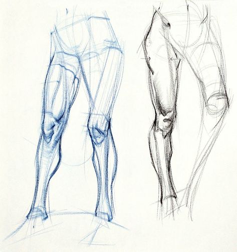 Leg Anatomy, Drawing Legs, Drawing Hands, One Point Perspective, Human Anatomy Drawing, Human Figure Drawing, Human Anatomy Art, Human Drawing, Anatomy Sketches