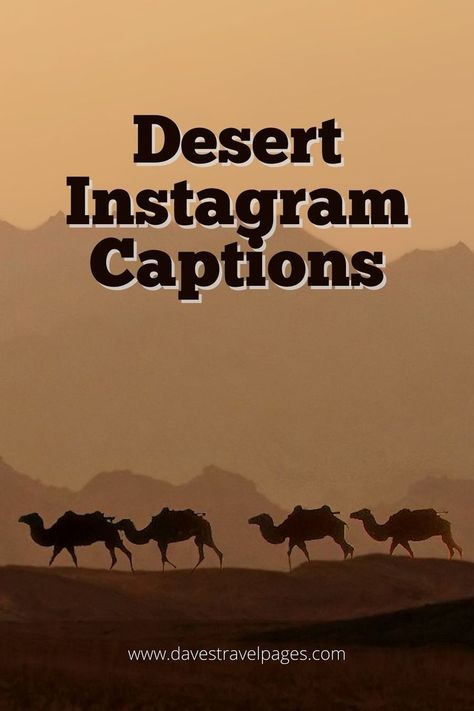 Are you planning a trip to the desert soon? If so, you'll want to make sure you have some great Instagram captions ready to go! Here are some of our favorites. Desert Vibes Quotes, Camel Ride Captions For Instagram, Caption For Desert Picture, Egypt Captions Instagram, Quotes About The Desert, Desert Quotes Instagram, Desert Captions For Instagram, Egypt Quotes, Egypt Quote