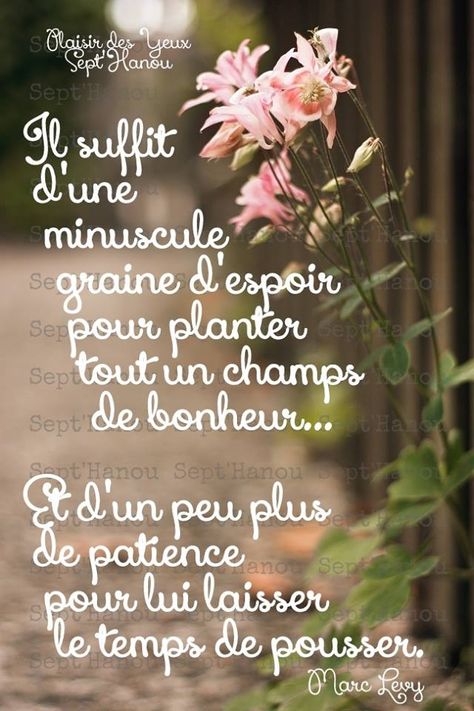 Il suffit d'une minuscule graine d'espoir pour planter tout un champ de bonheur... Et d'un peu plus de patience pour lui laisser le temps de pousser. - Marc French Poems, Positive Motivation, Positive Inspiration, French Quotes, Flower Quotes, Positive Attitude, Positive Mindset, Meaningful Quotes, Positive Thinking