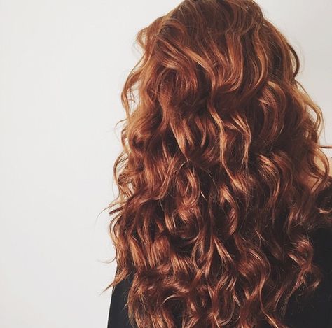 beautiful, hair, and brunette image Hair Aesthetic Faceless, Hair Color Curly, Curly Red Hair, Brown Curly Hair, Clary Fray, Colored Curly Hair, Hair Aesthetic, Brown Balayage, Super Hair