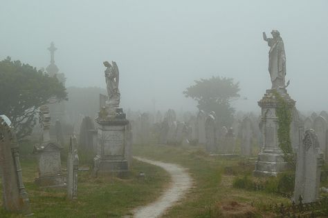 Foggy Graveyard, Gothic Graveyard, Earth Genasi, Ghost Project, Rennaissance Art, American Gothic, Angel Aesthetic, Southern Gothic, Angel Statues