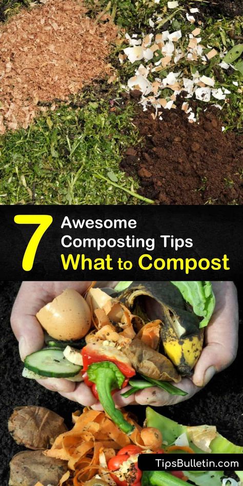 Discover which materials are safe for adding to the compost bin and the ones to avoid. Starting a compost pile is an excellent way to recycle leftover food waste, yard waste, and other organic material and turn it into a natural resource. #compostable #materials How To Start Composting, Start Composting, Frugal Gardening, Organic Insecticide, Organic Pesticide, Composting At Home, Victory Garden, Backyard Vegetable Gardens, Organic Vegetable Garden