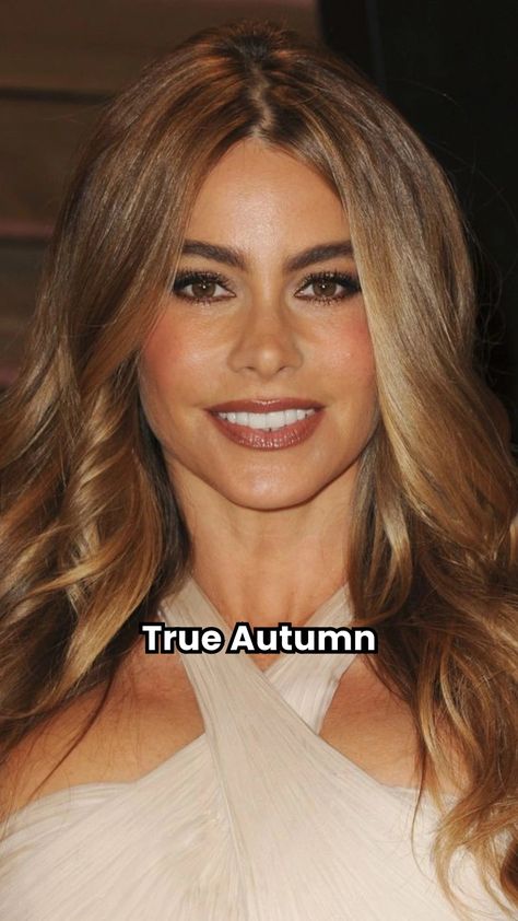 Sofia Vergara color season: Explore insights into her season, online analysis benefits, and perfect hues to flatter her unique features. Sofia Vergara Color Palette, Sofia Vergara Makeup, Autumn Color Season, Color Season Analysis, Season Analysis, Body Shape Guide, Colour Psychology, True Autumn, Seasonal Color Analysis