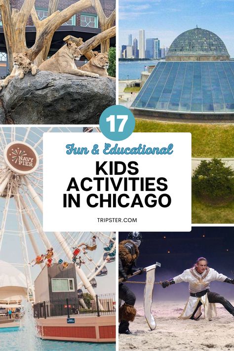 A collage promotion fun and education kids activities in Chicago. The top left image shows 4 lions on a huge boulder. The top right image shows a modern museum. The bottom left image shows a ferris wheel at the Navy Pier. The bottom right image shows knights fighting on a stage. Chicago Kids Activities, Chicago Activities, Medieval Times Dinner, Chicago Kids, Shedd Aquarium, Lincoln Park Zoo, Chicago Hotels, Navy Pier, The Windy City