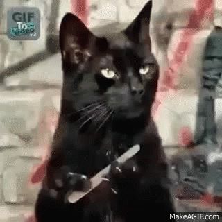 Salem Cat GIF - Salem Cat Nails - Discover & Share GIFs Cat Filing Nails, Filing Nails, Salem Cat, Gif, Nails