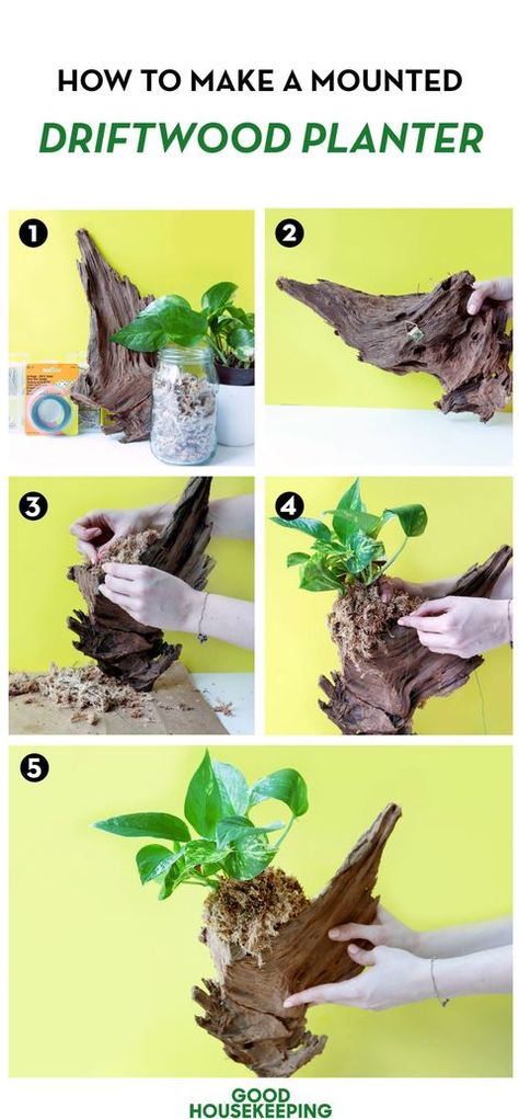 Living Wreaths, Plant Tower, Diy Planters Indoor, Diy Wall Planter, Driftwood Planters, Wood Succulent Planter, Planters Indoor, Orchid Plant Care, Succulent Planter Diy