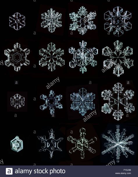 set real snowflakes Stock Photo Real Snowflakes Photography, Snowflake Photography, Real Snowflakes, Frozen Bubbles, Weather Wind, Snowflakes Real, Simple Tattoos For Women, Snowflake Photos, Elemental Powers