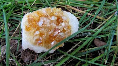 Citrine in the garden - Crystals for Plants Crystals For Plants, Garden Crystals, Plants Crystals, Best Healing Crystals, Plants And Gardening, Green Tourmaline Crystal, Best Crystals, Sodalite Crystal, Green Aventurine Crystal