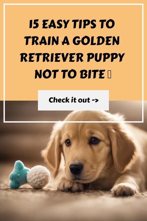 15 Easy Tips To Train A Golden Retriever Puppy Not To Bite Training A Golden Retriever Puppy, Puppy Biting Training Tips, Red Golden Retriever Puppy, Golden Retriever Puppy Training, Golden Retriever Training, Tired Puppy, Puppies Tips, Puppy Proofing, Puppy Cut