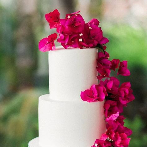 A Wild Frolic through a Flower Dreamland on Instagram: "Let's start the week off RIGHT & BRIGHT with this fabulous cake from Kate & Cameron's wedding! What's better than a gorgeous wedding cake bedecked with cake art and fresh flowers............ Why a gorgeous cake on a bed of BEAUTIFUL BLOOMS of course! Photographer @gideonphoto Planning @lovealways_planning Design @tularosaflowers Cake @cutecakes Venue @lavalenciahotel" Bougainvillea Wedding Cake, Bougainvillea Cake, Naxos Wedding, Mexican Wedding Decorations, Bougainvillea Wedding, Fuschia Wedding, Boho Cake, Decor Color Palette, Hot Pink Floral