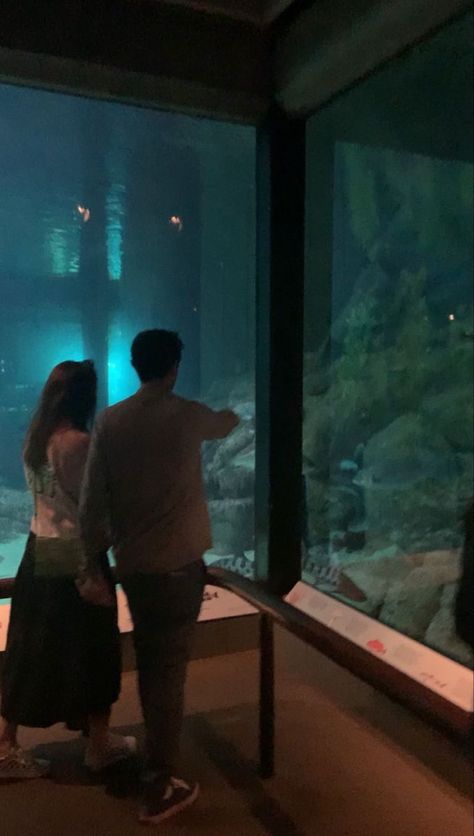 Aquarium Date Aesthetic, Date Aesthetic Couple, Aquarium Outfit Ideas, Aesthetic Date Ideas, Aquarium Outfit, Date Fits, Aquarium Date, Aquarium Aesthetic, Date Aesthetic