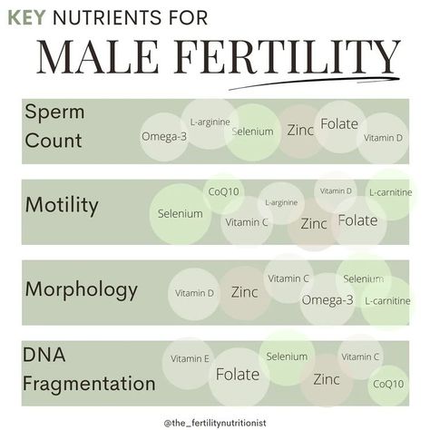 Grace |The Fertility Nutritionist (BSc.H) | KEY nutrients to improve male fertility! 📉The health of sperm is at an all-time low, and the depths of the problem aren't being discussed... | Instagram Men’s Fertility Diet, Fertility Foods For Men, Increase Male Fertility, Men’s Fertility, Male Fertility Supplements, Male Fertility Foods, Male Fertility Boost, Fertility Tracking, Sperm Health