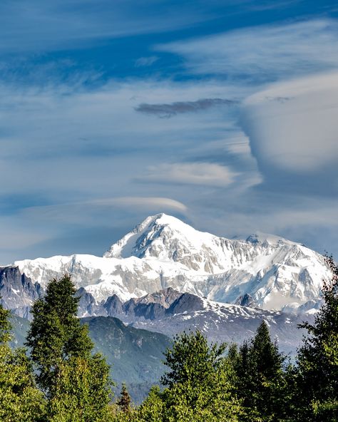 mount denali; thank you for peaking out from the clouds-you are incredible . . . #denali #mtdenali #alaska #mountdenali #denalinationalpark #mountain #snowcap #nature Mount Denali, Denali Mountain, Denali Alaska, Alaska Mountains, You Are Incredible, Snow Caps, Denali National Park, American Travel, Travel Guides