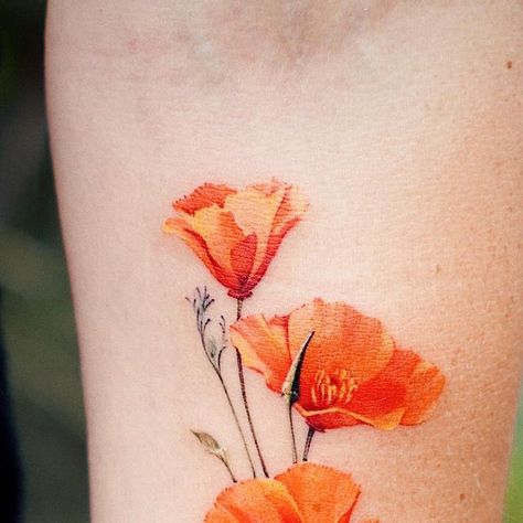 Seulki Park on Instagram: "California poppy 🧡🧡🧡  🇺🇸 Based in LA @vismstudio  📧 abii@vismstudio.com  #californiapoppies #latattooartist #californiapoppytattoo #poppytattoo #flowertattoo #colortattoo #poppiestattoo" California Poppy Tattoo, Magpie Tattoo, Poppy Tattoo, La Tattoo, Poppies Tattoo, California Poppy, Tattoo Inspo, Magpie, Color Tattoo