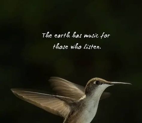 Hummingbird Quotes Hummingbird Quotes, Hummingbird Wings, Wings Quotes, Brave Wings, First Love Quotes, Henry Miller, Believe In Miracles, Feeling Trapped, Tattoo Magazines