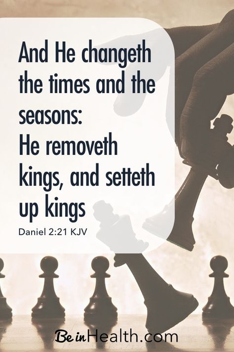 God's in charge scripture quote: He changes the times and the seasons and removes and sets up kings. Find out why God wants us to pray for leaders and the role you can play in establishing the Kingdom of God in the earth. God Is In Charge, Lukewarm Christian, Pray For Leaders, Scripture Quote, Bible Book, Kingdom Of God, Christian Quotes God, Pin Pics, Christian Men