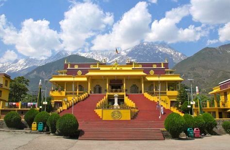 Dharamshala Himachal Pradesh, Cedar Forest, Hill Station, Himachal Pradesh, Tourist Places, Travel Packages, Short Trip, Walking In Nature, Tour Packages