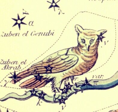 Noctua Owl Constellation, Yin Yang, Constellations, Tattoo Ideas, Birds, Humanoid Sketch, Sun, Tattoos, Art