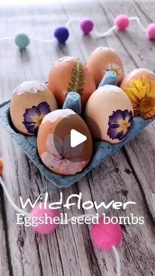 🌿 Nicky🌻| eco crafts for my littlies and me! on Instagram: "🌺 Wildflower egg shell seed bombs 🌺
✨Save for eco Easter gifts!

Easter is the perfect time to think about sowing wildflowers, so why not swap out some chocolate eggs and make these eggshell seed bombs instead?

I was very inspired by @woodlark for this but mixed it up by using a variety of botanicals to decorate the eggs and a cute little flower shaped cover. Be careful to select wildflowers that are native to your own area 🌸 

Using school glue for this project makes it fully compostable along with all the other elements - so you really can just throw them into a flowerbed and wait for the magic! ✨🌿

This is one of the gorgeous spring crafts you can find in the @harborandsprout Spring Nature Handicrafts ebook on sale now a Eco Easter, How To Make Eggs, Eco Crafts, School Glue, Egg Shell, Chocolate Eggs, Spring Nature, Easter Gifts, Egg Shells