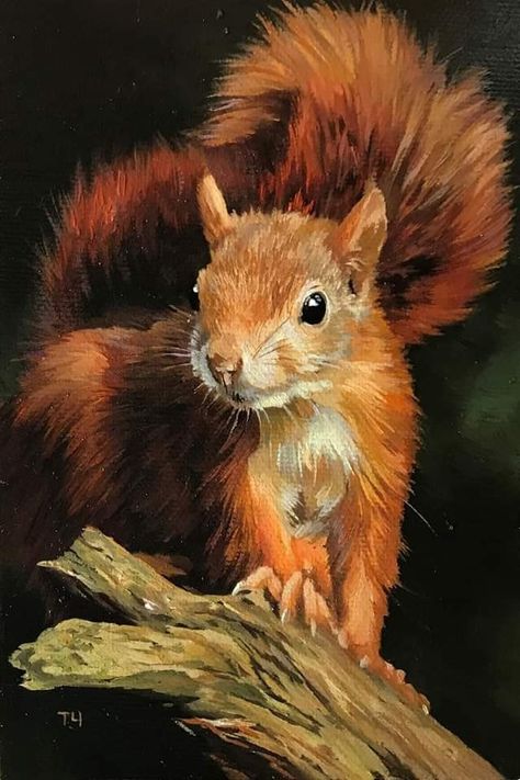 Squirrel Painting, Animal Paintings Acrylic, Squirrel Art, Fox Illustration, Deer Art, Smart Art, Wildlife Paintings, Chalk Drawings, Unusual Art