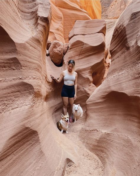 Dog-friendly road trip through Utah & Arizona Dog Friendly Road Trip, Dog Road Trip, Road Trip With Dog, Utah National Parks Road Trip, Utah Trip, Dog Friendly Vacation, Arizona Trip, Snow Canyon State Park, Road Trip Outfit